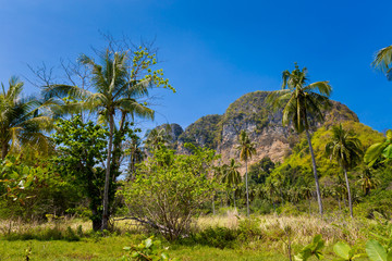 Fototapeta premium Tropical landscape of Koh Poda