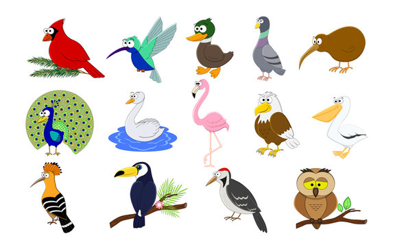 Big set of cartoon funny birds.  Birds collection. Vector illust