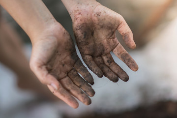 Soil in farmer hands is formed by weathering and includes organic matter from decayed plants. loose mineral provides a medium in which plants can grow, supporting their roots