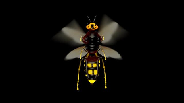 Bee. Looped. Alpha Channel Included.