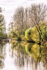 Fototapeta na wymiar Fluss Raab im Burgenland (A)