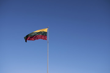 Naklejka premium Lithuania flag. Flag of Lithuania. Lithuania celebrating 100-year independence anniversary 