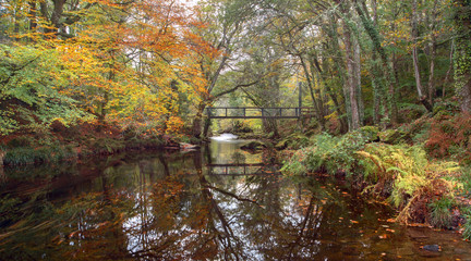 Autumn on the river teign near castle drogo Drewsteignton Devon Uk