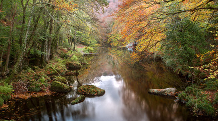 River teign in autumn near drewsteignton devon uk