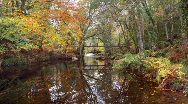 Autumn on the river teign near castle drogo Drewsteignton Devon Uk