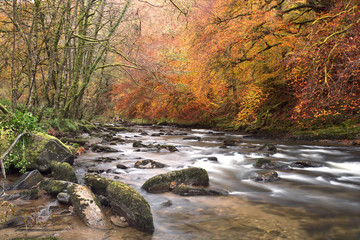 River barle near Tarr steps in autumn exmoor somerset uk