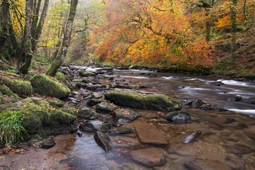 Cercles muraux Automne River barle near Tarr steps in autumn exmoor somerset uk