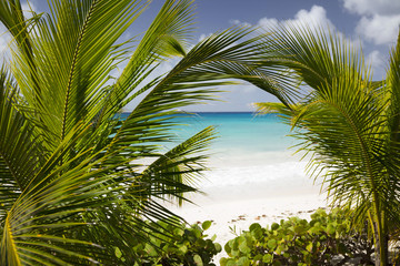 Summer. Exotic vacations. Palm trees. Turquoise water. Sunny blue sky. Beautiful white-sand beach.
