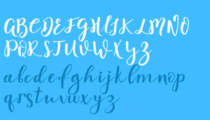 Hand drawn vector alphabet. Calligraphy letters for your design