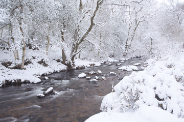 River okement in winter okehampton devon uk