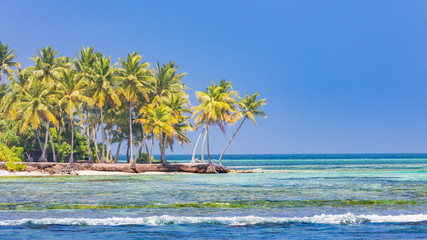 Tropical beach for summer vacation and holiday banner