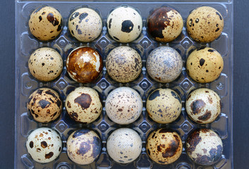 Quail eggs in a transparent plastic container. Healthy food background