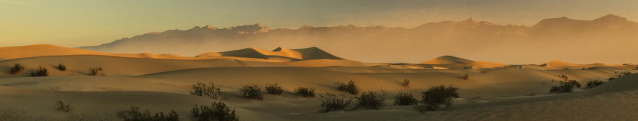 Fototapeta na wymiar Desert morning