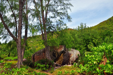 Fototapeta na wymiar Seychelles islands scenery