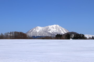 Shiribetsudake seen from Hokkaido Rusutsu Village