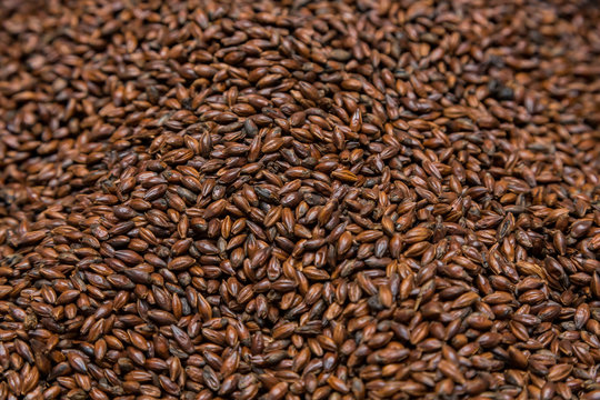 Close-up Dried Dark Black Barley Malt In A Sack For Brewing Beer