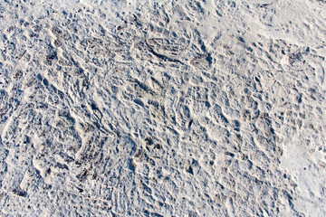 the finest pattern depicted by the sea waves on the old stone