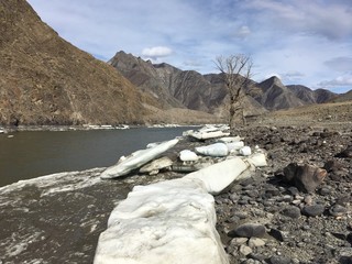 льдины лежащие на берегу горной реки. Алтай