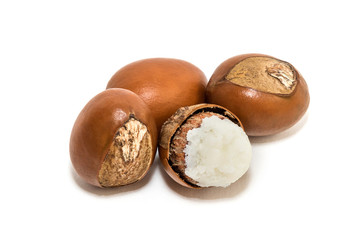 Shea nuts. Vitellaria paradoxa