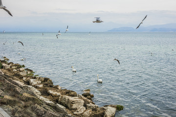 Turquoise waterfront of Lake Garda in town Peschiera del Garda. Peschiera del Garda is a town and commune in the province of Verona in Veneto, Italy.