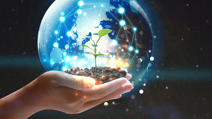 Hand holding globe with green plant growing . Environmentally friendly concept