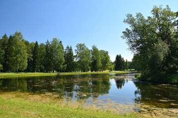 Fototapeta na wymiar The pond in the Park of Pavlovsk