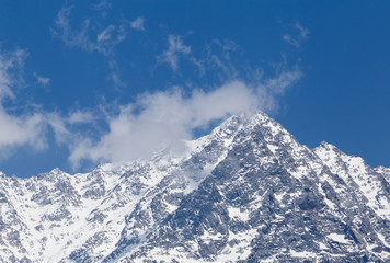 Fototapeta na wymiar view on snowy Dhauladhar peak in Himalayas from Dharamshala, India