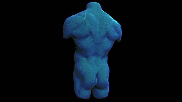 Human Anatomy 4K. Alpha Channel Included. Looped.