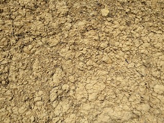 Textur Erde - IMG_20180215_123912