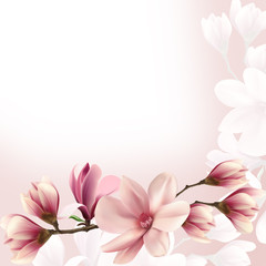 Nature spring background with magnolia branches.