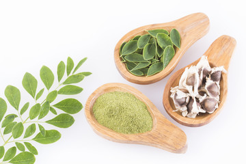 Moringa leaves, seeds and powder - Moringa oleifera