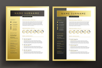 Expert CV / resume template in black and gold colors - professional curriculum vitae vector design