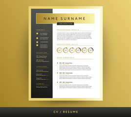 Professional CV / resume template in black and gold colors - vector design