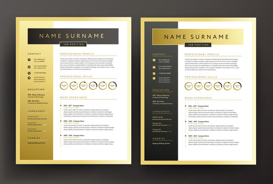 Expert CV / Resume Template In Black And Gold Colors - Professional Curriculum Vitae Vector Design