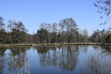 Fototapeta na wymiar Landscape idyll frog pond reflection