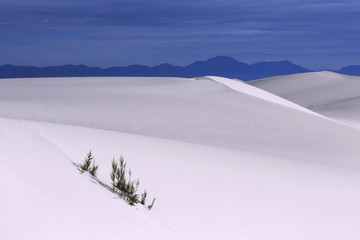 White Sands National Monument New Mexico, USA