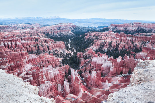 Amazing View Of The Bryce Canyon In A Pink Tone, USA
