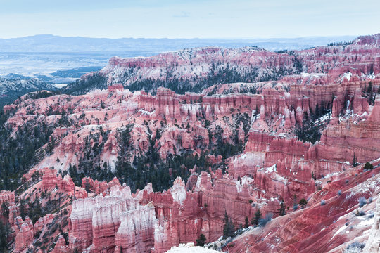 Scenic Landscape Of Bryce Canyon In PInk, USA