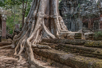 Cambodia Angkor Complex 360
