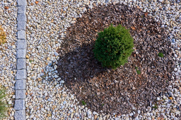 Bark mulch with a single shrub and old grey paving stones surrounded by pebbles, photographed from above