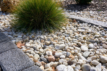 A single grass shrub casting a small shadow surrounded by pebbles and paving stones