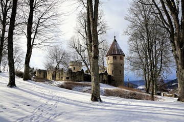 Fototapeta na wymiar Ruine Burg Honburg auf dem Berg Honberg in Tuttlingen in Süddeutschland in Europa im Winter am Weihnachten
