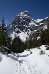 Fototapeta premium Mountains in winter