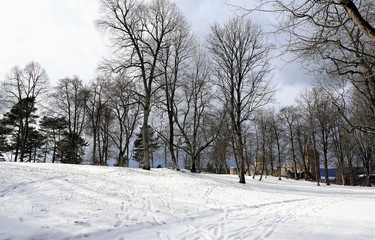 Ruine Honburg auf dem Berg Honberg in der Stadt Tuttlingen in Süd Deutschland in Europa 