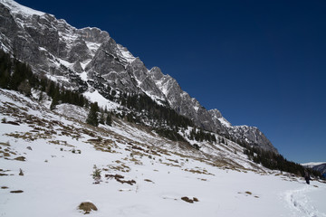 white mountain in the winter