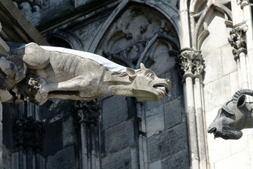 Gargoyle at Cologne Cathedral, Germany