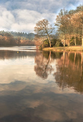 Obraz premium Shearwater - Lake near Warminster - Wiltshire- UK