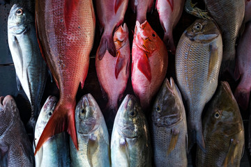 Fresh fish in the market close up. Buy marine food in local shop - Powered by Adobe
