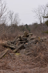 Fototapeta na wymiar Pile of stone in a dead field. 