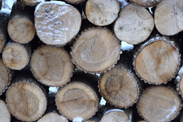Stacked logs closeup texture background